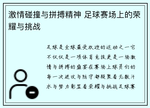 激情碰撞与拼搏精神 足球赛场上的荣耀与挑战