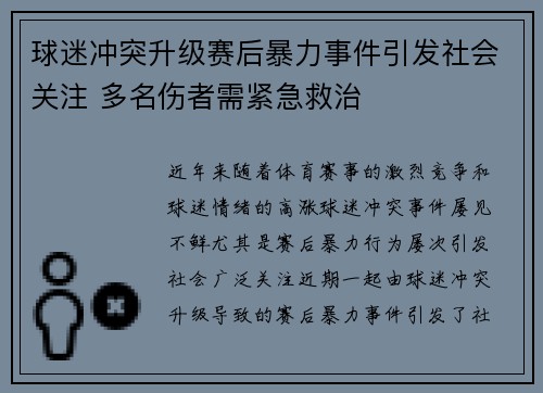 球迷冲突升级赛后暴力事件引发社会关注 多名伤者需紧急救治